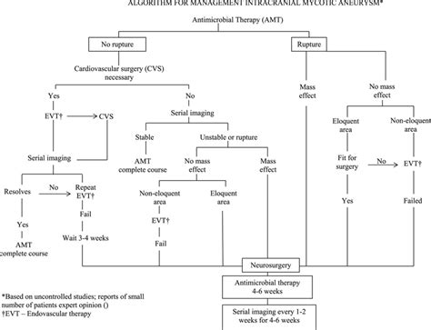 Vascular Graft Infections, Mycotic Aneurysms, and Endovascular .
